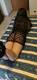 Private Photo of aira19