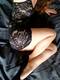 Corpo