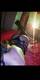 Private Photo of GIULY94