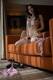 Nudo Nina