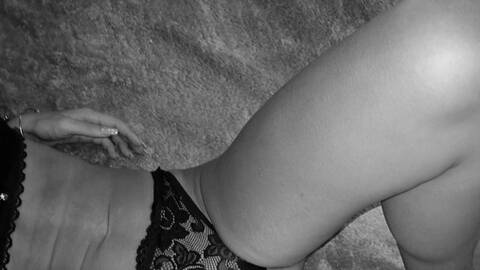 Gattina_02 Gattina_02