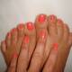 corallo